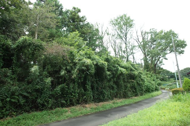 東松山市大谷 土地 1112坪の前面道路含む現地写真|北側約2.1ｍ公道に接道
