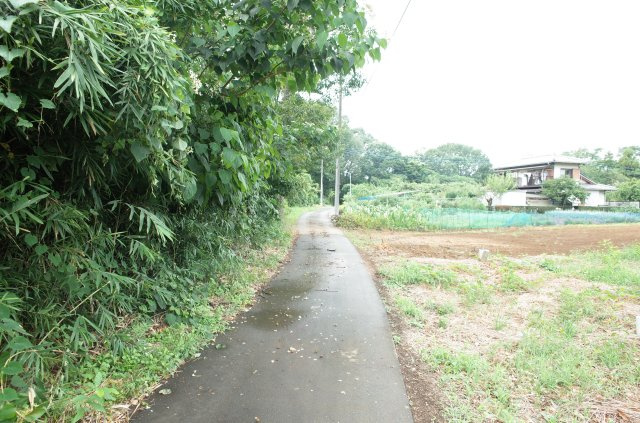 東松山市大谷 土地 1112坪の前面道路含む現地写真|北側約2.1ｍ公道に接道