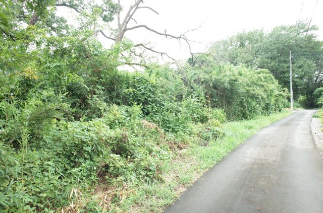 東松山市大谷 土地 1112坪の前面道路含む現地写真|北側約2.1ｍ公道に接道