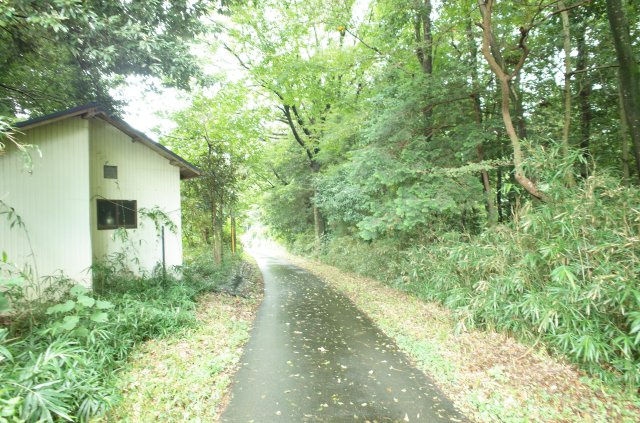 東松山市大谷 土地 1112坪の前面道路含む現地写真|北側約2.1ｍ公道に接道