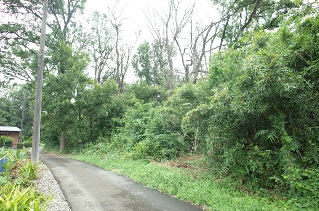 東松山市大谷 土地 1112坪の前面道路含む現地写真|北側約2.1ｍ公道に接道