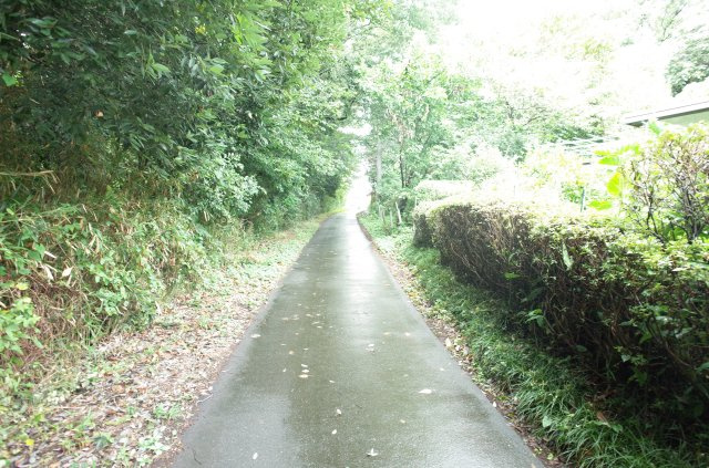 東松山市大谷 土地 1112坪の前面道路含む現地写真|北側約2.1ｍ公道に接道