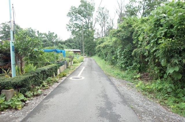 東松山市大谷 土地 1112坪の前面道路含む現地写真|北側約2.1ｍ公道に接道