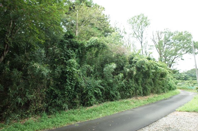 東松山市大谷 土地 1112坪の外観|隣地