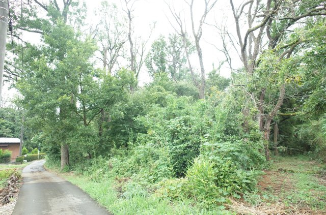 東松山市大谷 土地 1112坪の外観|隣地