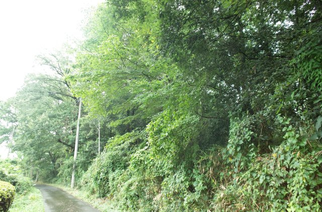 東松山市大谷 土地 1112坪の外観