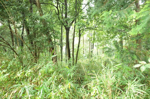 東松山市大谷 土地 1112坪の外観