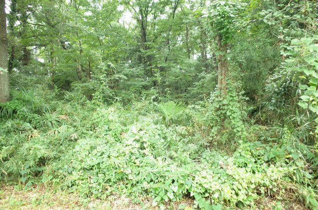 東松山市大谷 土地 1112坪の外観