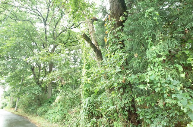 東松山市大谷 土地 1112坪の外観