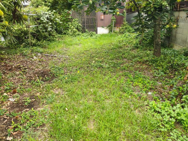 【外観】 | 姫路市実法寺／売土地