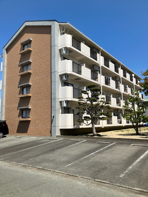 ハイライフ花中