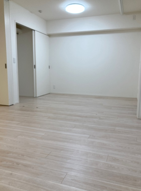 ディアスタ鷺沼のその他