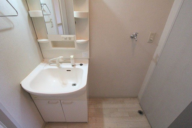 ディアス・リバー壱番館の洗面所