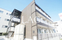 リブリ・プルメリアの画像