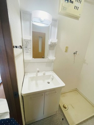 サクシードの独立洗面台