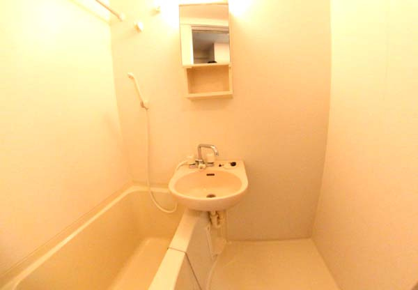 エクセレント岸和田弐番館の洗面所|明るい洗面所です