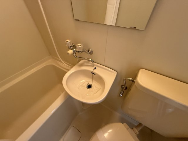 グリーン蛍の洗面所