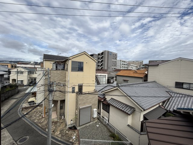 グリーン蛍の展望