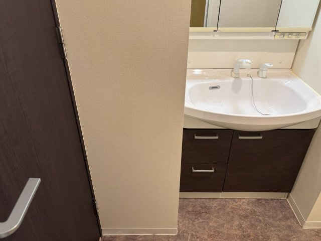 エステムコート三宮駅前Ⅱアデシオンの洗面所