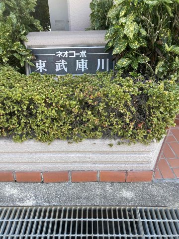 ネオコーポ東武庫川の外観|きれいな外観です