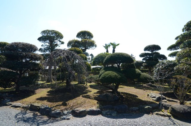 【庭】の画像