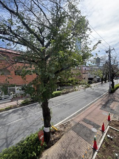 【展望】 | グリーンスクエアみその