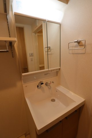 GENOVIA東川口の洗面所