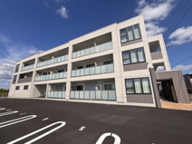 Moon stone（ムーン　ストーン）の画像