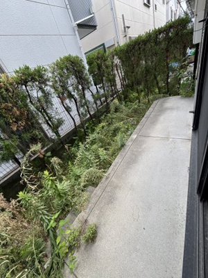 【バルコニー】 | エバーグリーンハイツA棟