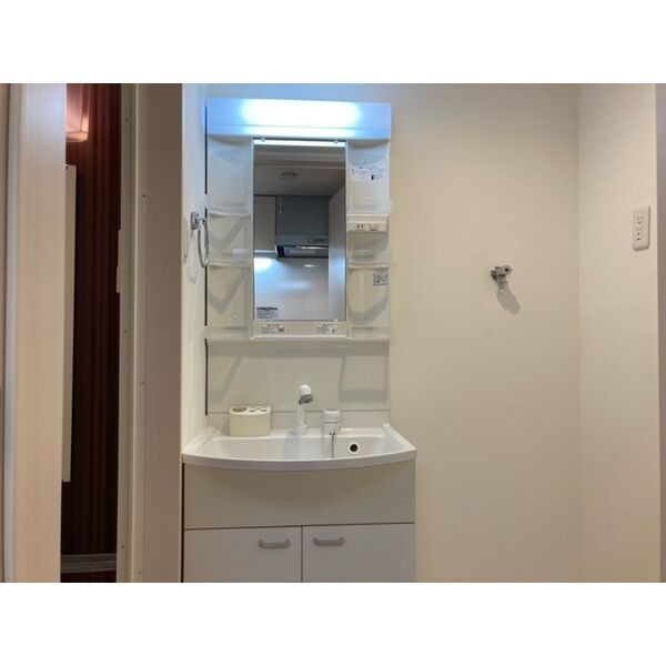 LUNA　FORZA神宮西の洗面所