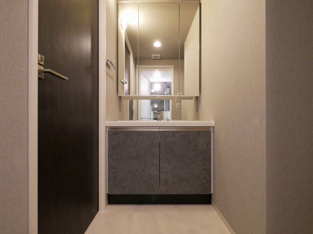 シーズンフラッツ阿波座の洗面所