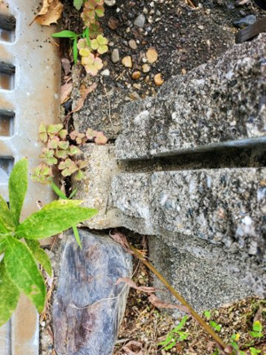 【外観】 | 中古戸建　南加茂台11丁目