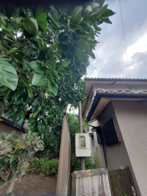 【前面道路含む現地写真】 | 中古戸建　南加茂台11丁目