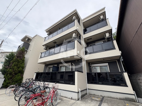 シーカルア　アリモト