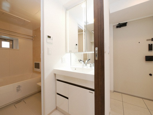 エステムコート北堀江Ⅱの洗面所