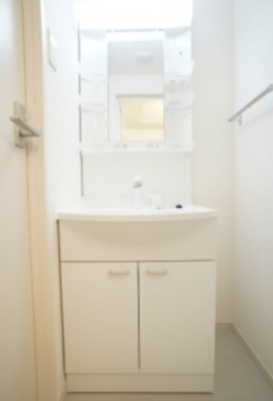 リブリ・六番館の洗面所