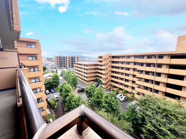 ダイアパレス大橋南壱番館の展望