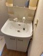 東大阪市金岡４丁目の賃貸マンションの洗面所
