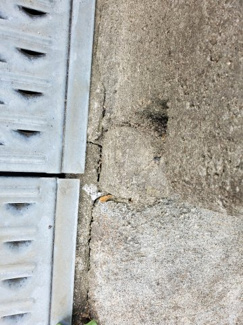  | 土地　南加茂台11丁目