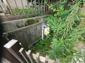  | 土地　南加茂台11丁目