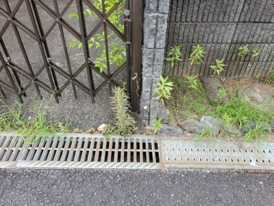  | 土地　南加茂台11丁目