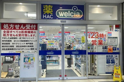  | ハックドラッグ六角橋店まで333m 