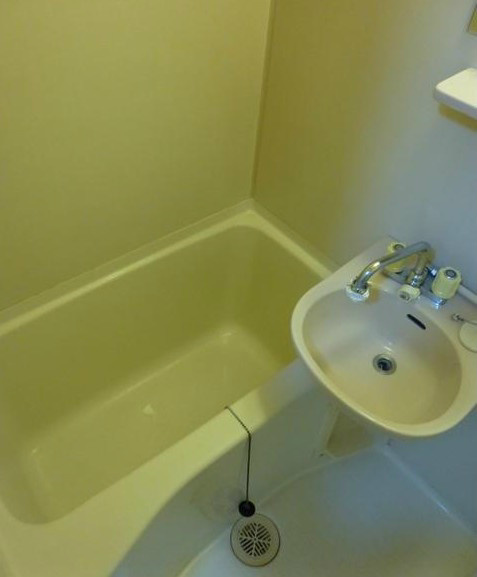 ローゼンハイムの浴室