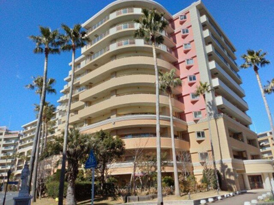  | 金沢八景イオンまで無料シャト… 