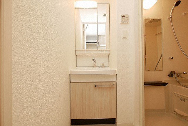 アドバンス大阪カーサの洗面所