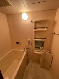 東大阪市高井田元町２丁目の賃貸マンションの浴室