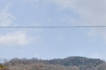 東大阪市瓢箪山町のアパートの展望