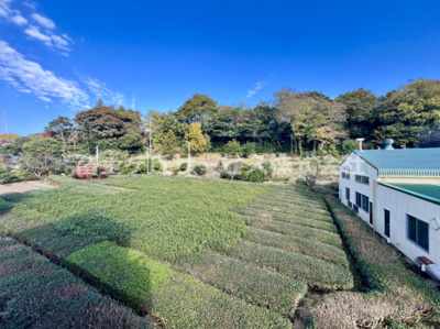 【展望】 | 沼津市西沢田 新築一戸建て B号棟 | 物件からの展望です
