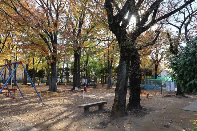 《仲介手数料無料》志木市中宗岡２丁目7-50(全1戸)新築一戸建てグラファーレのその他|撮影日 2025年11月21日 13:50 晴れ