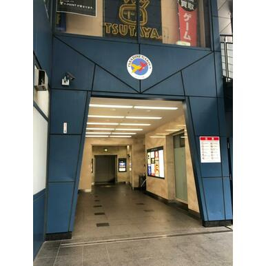 パラダイスガーデンのその他